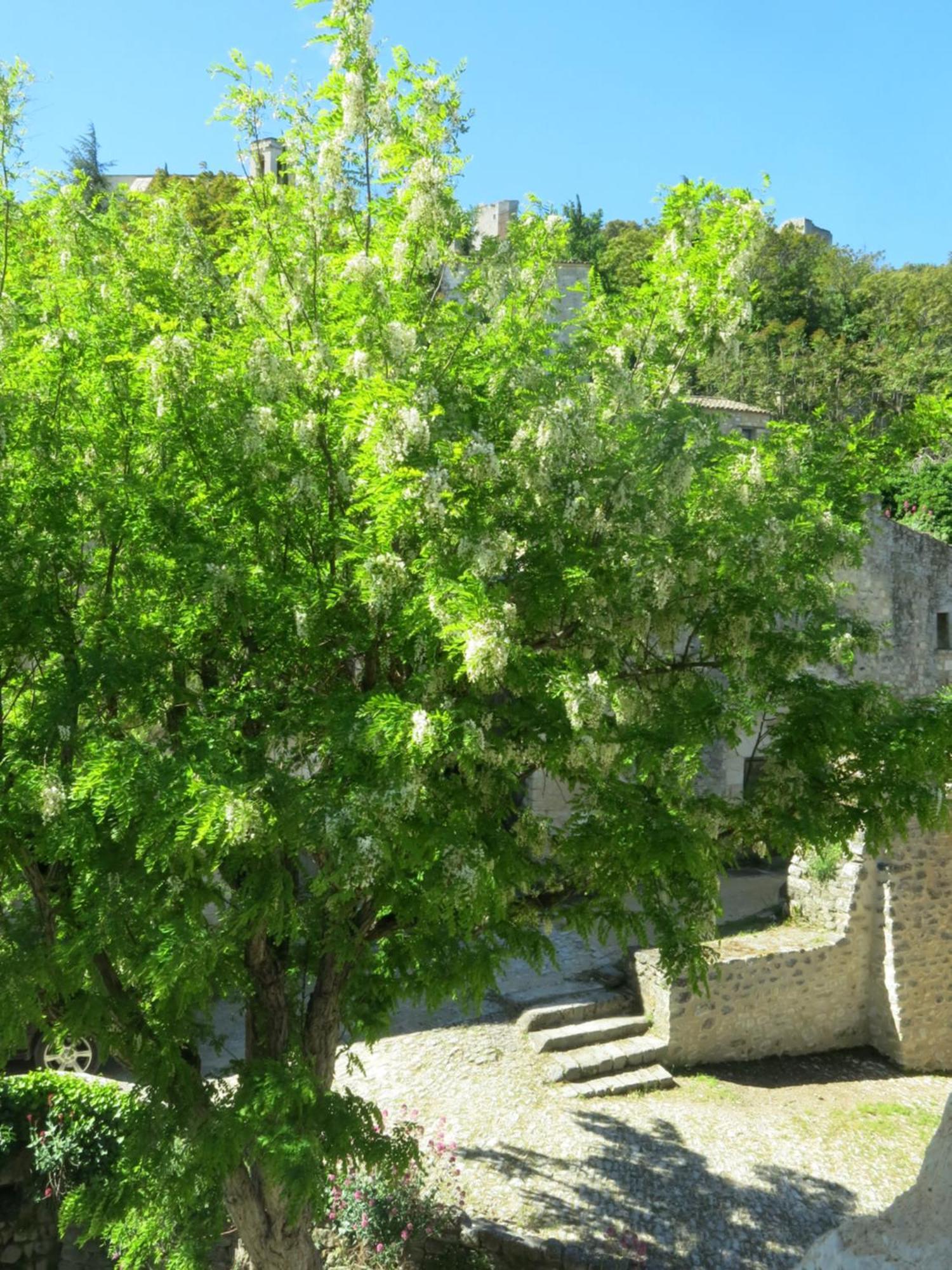 La Buissonniere Bed & Breakfast Oppede Bagian luar foto